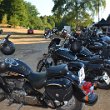 Treffen 2022 - 298
